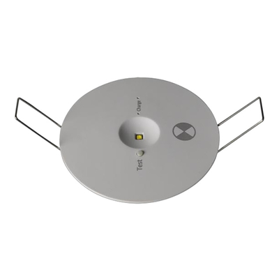 Niet Gehandhaafde Noodsituatie LEIDENE Downlight Witte 2W 130mm DGS32A