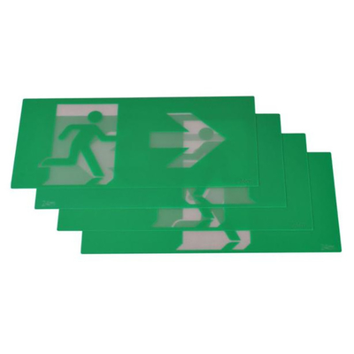 60Hz LEIDENE van lithiumion battery emergency light Snelle Geschikte Uitgangsdoos Witte 4W 60lm EGS4QLiA