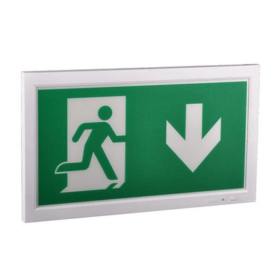 Binnen R Lithium Ion Batterij Noodverlichting LED Exit Wit 4W 50lm