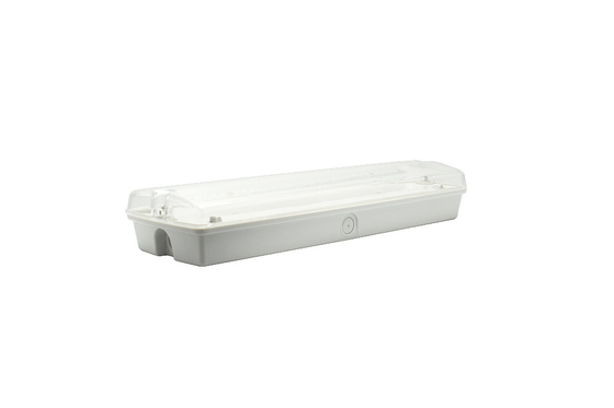 8W noodgeval Ip65 schotlamp 6500K 150Lm wandmontage