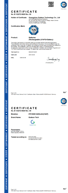CHINA Godson Technology Co., Ltd certificaten