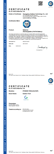 CHINA Godson Technology Co., Ltd certificaten